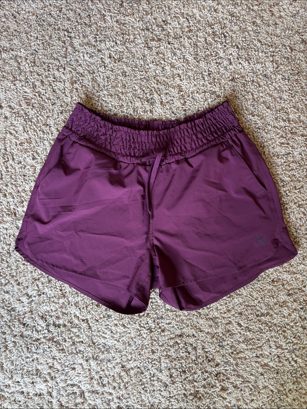 Carve Designs Nirvana Shorts